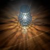 IMG_6930 Voronoi Solarlampe aus PETG