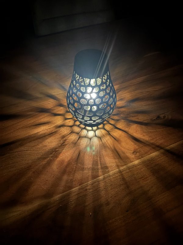 IMG_6930 Voronoi Solarlampe aus PETG