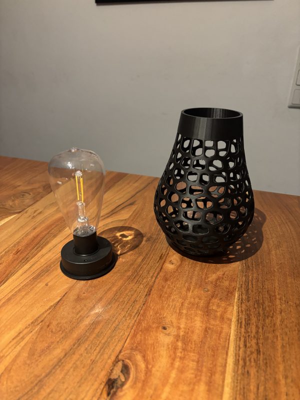 IMG_6932 Voronoi Solarlampe aus PETG