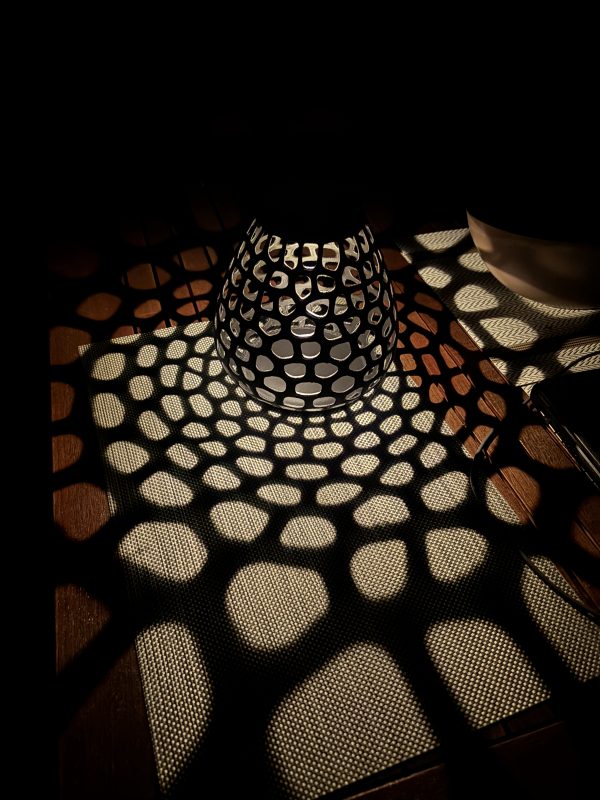 Voronoi Solarlampe aus PETG II
