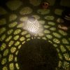 Voronoi Solarlampe aus PETG II
