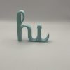 IMG_7267 Schriftzug „Hi"